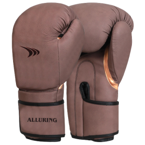 Boxing Gloves (2)