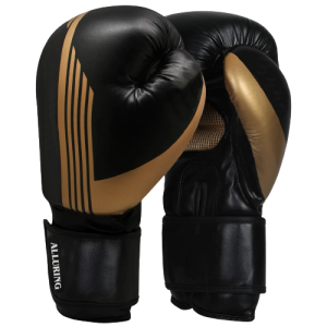 Boxing Gloves (6)